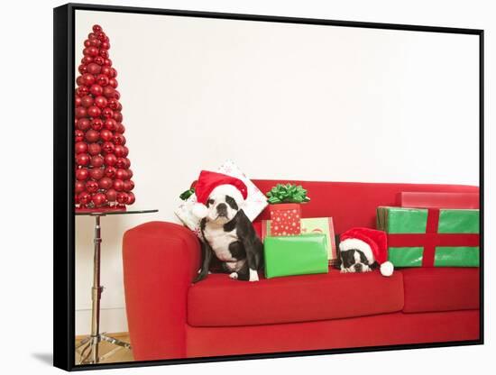 Dogs and Christmas gifts on sofa-null-Framed Stretched Canvas