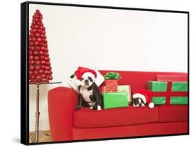 Dogs and Christmas gifts on sofa-null-Framed Stretched Canvas