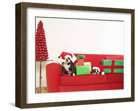 Dogs and Christmas gifts on sofa-null-Framed Premium Photographic Print