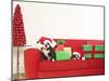 Dogs and Christmas gifts on sofa-null-Mounted Premium Photographic Print