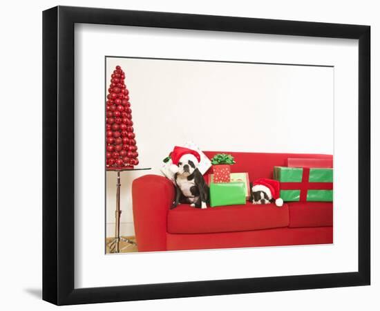 Dogs and Christmas gifts on sofa-null-Framed Photographic Print