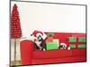 Dogs and Christmas gifts on sofa-null-Mounted Photographic Print