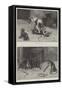 Dogs and Food-S.t. Dadd-Framed Stretched Canvas