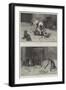 Dogs and Food-S.t. Dadd-Framed Giclee Print