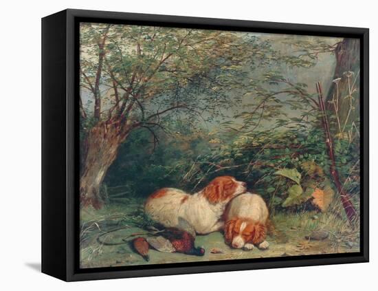 Dogs and Pheasant, 1840-Richard Ansdell-Framed Stretched Canvas