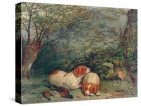 Dogs and Pheasant, 1840-Richard Ansdell-Stretched Canvas