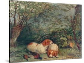 Dogs and Pheasant, 1840-Richard Ansdell-Stretched Canvas