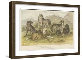 Dogs and Wolves-null-Framed Giclee Print