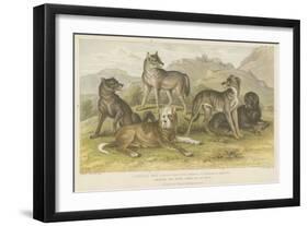 Dogs and Wolves-null-Framed Giclee Print