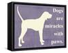 Dogs are Miracles with Paws-Vision Studio-Framed Stretched Canvas