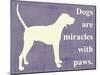 Dogs are Miracles with Paws-Vision Studio-Mounted Art Print