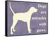 Dogs are Miracles with Paws-Vision Studio-Framed Stretched Canvas