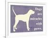 Dogs are Miracles with Paws-Vision Studio-Framed Art Print