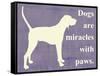 Dogs are Miracles with Paws-Vision Studio-Framed Stretched Canvas