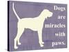 Dogs are Miracles with Paws-Vision Studio-Stretched Canvas