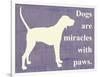 Dogs are Miracles with Paws-Vision Studio-Framed Premium Giclee Print