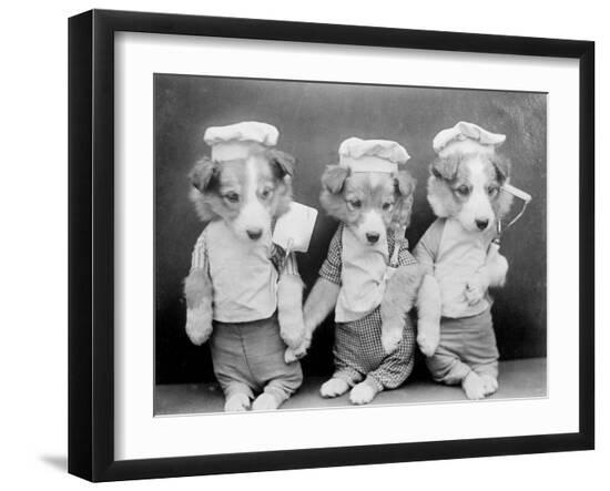 Premium Photographic Print, , large