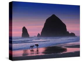 Dogs at Cannon Beach-Jody Miller-Stretched Canvas