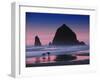 Dogs at Cannon Beach-Jody Miller-Framed Photographic Print