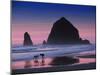 Dogs at Cannon Beach-Jody Miller-Mounted Photographic Print