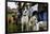 Dogs at Dog Show-Tim Kahane-Framed Photographic Print