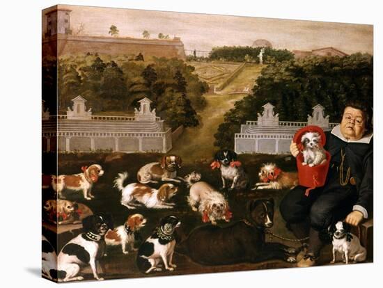 Dogs Belonging to the Medici Family in the Boboli Gardens-Tiberio Di Tito-Stretched Canvas