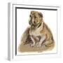 Dogs, Bulldog Dawson-Lucy Dawson-Framed Art Print