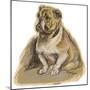 Dogs, Bulldog Dawson-Lucy Dawson-Mounted Art Print