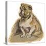 Dogs, Bulldog Dawson-Lucy Dawson-Stretched Canvas