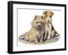 Dogs, Cairn and Wire Terrier, Dawson-Lucy Dawson-Framed Art Print