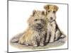 Dogs, Cairn and Wire Terrier, Dawson-Lucy Dawson-Mounted Art Print