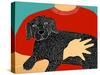 Dogs Can Heal A Broken Heart-Stephen Huneck-Stretched Canvas