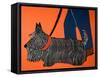 Dogs Can Heel-Stephen Huneck-Framed Stretched Canvas