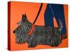 Dogs Can Heel-Stephen Huneck-Stretched Canvas