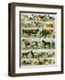Dogs, Cats, Cattle, Horses, Goats, Sheep, Hogs, and Other Domesticated Animals-null-Framed Giclee Print