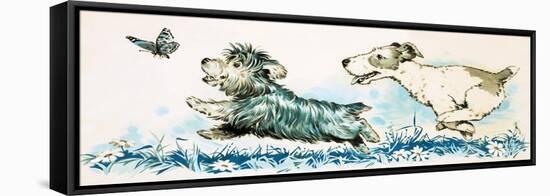 Dogs Chasing a Butterlfly-null-Framed Stretched Canvas