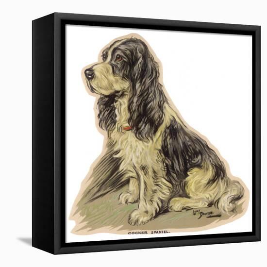 Dogs, Cocker Spaniel, Dawson-Lucy Dawson-Framed Stretched Canvas