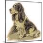 Dogs, Cocker Spaniel, Dawson-Lucy Dawson-Mounted Art Print