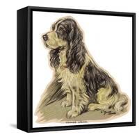 Dogs, Cocker Spaniel, Dawson-Lucy Dawson-Framed Stretched Canvas
