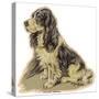 Dogs, Cocker Spaniel, Dawson-Lucy Dawson-Stretched Canvas
