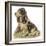 Dogs, Cocker Spaniel, Dawson-Lucy Dawson-Framed Art Print