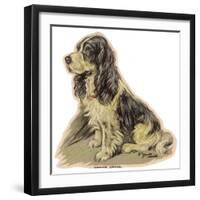 Dogs, Cocker Spaniel, Dawson-Lucy Dawson-Framed Art Print