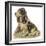 Dogs, Cocker Spaniel, Dawson-Lucy Dawson-Framed Art Print