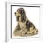 Dogs, Cocker Spaniel, Dawson-Lucy Dawson-Framed Art Print