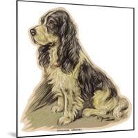 Dogs, Cocker Spaniel, Dawson-Lucy Dawson-Mounted Art Print