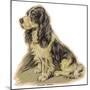 Dogs, Cocker Spaniel, Dawson-Lucy Dawson-Mounted Art Print