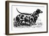 Dogs: Dachshunds-null-Framed Giclee Print