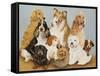 Dogs' Dinner-Pat Scott-Framed Stretched Canvas