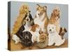 Dogs' Dinner-Pat Scott-Stretched Canvas