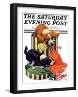 "Dogs Eating Hat," Saturday Evening Post Cover, July 14, 1928-Robert L. Dickey-Framed Giclee Print